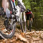 Apartment Apartma Pohorje Bolfenk 5010 *