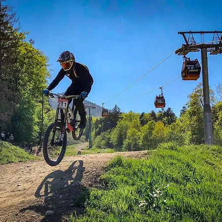 Apartma Pohorje Bolfenk 5010 Hocko Pohorje