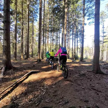 Apartma Pohorje Bolfenk 5010 Apartment