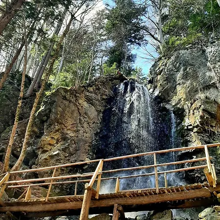 Apartment Apartma Pohorje Bolfenk 5010