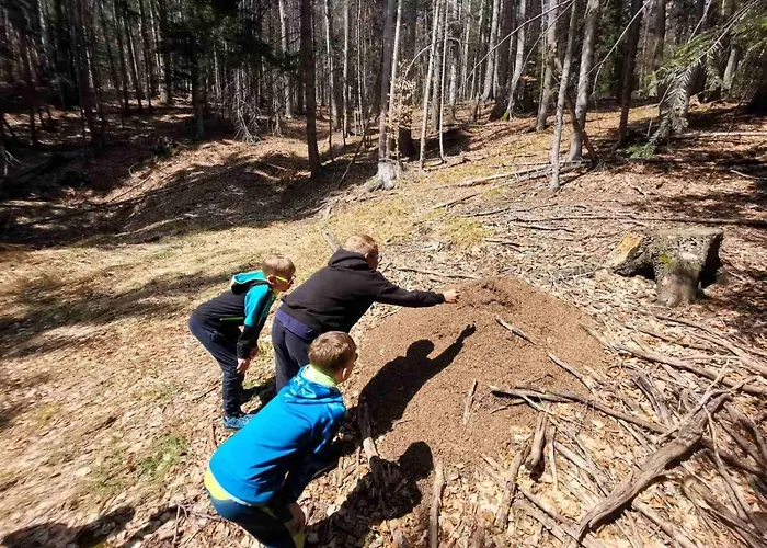 Appartement Apartma Pohorje Bolfenk 5010