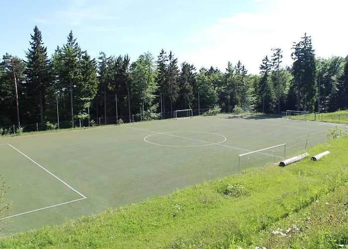 Apartma Pohorje Bolfenk 5010 Apartmán *