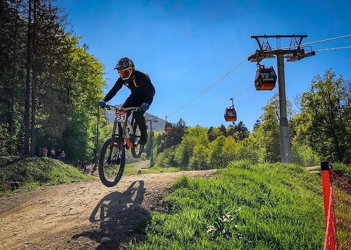 Apartma Pohorje Bolfenk 5010 Hočko Pohorje