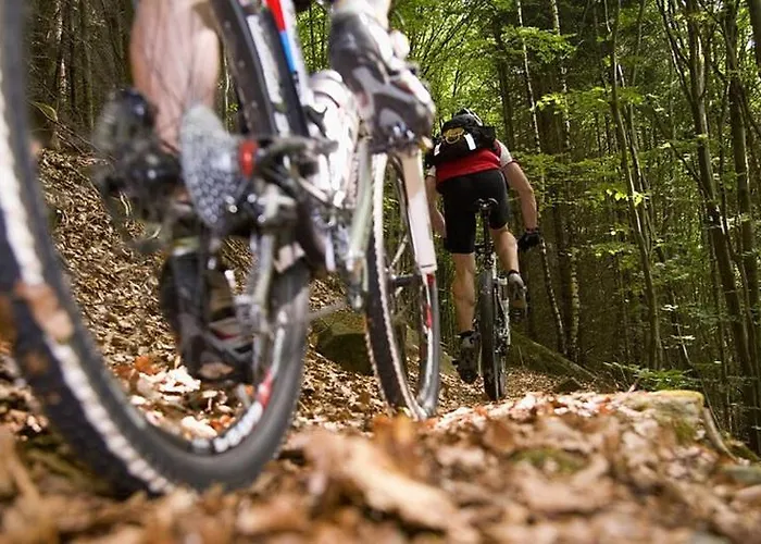 Apartmán Apartma Pohorje Bolfenk 5010 *