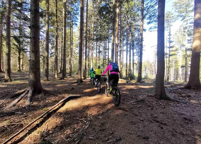 Apartma Pohorje Bolfenk 5010 Appartement